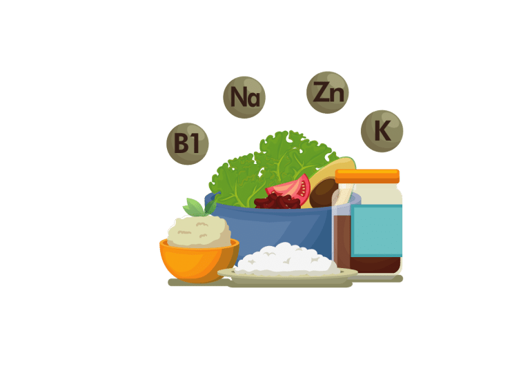 nutrition dessin 2